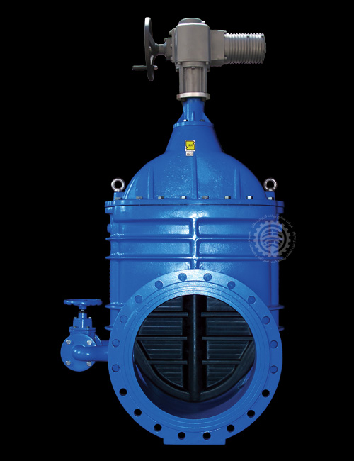 Anti-Corrosion, ANSI, Automatic Rubber Wedge Gate Valves